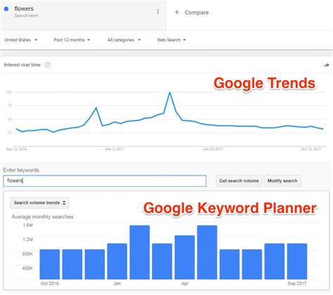 search for word use trends google
